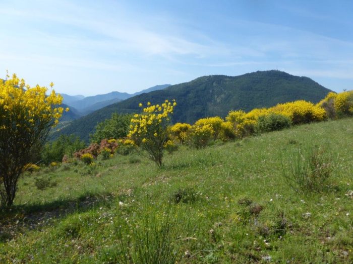 Col d’Agnon – Breil/Roya – Jeudi 26 Juin 2020